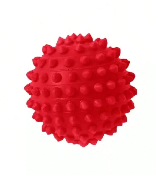 Kit Pet Pequeno Porte Cama Iglu Potes Água Ração Coleira Bolinha
