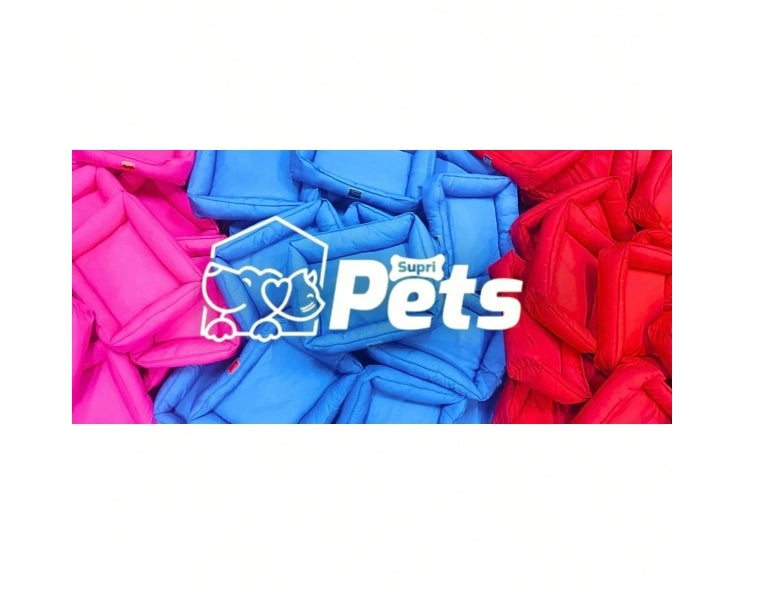 Kit Pet Pequeno Porte Cama Iglu Potes Água Ração Coleira Bolinha