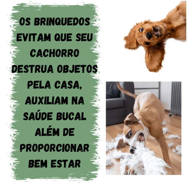 Kit 5 Brinquedos Pet para Cachorros de Pequeno Porte Ossinhos Bolinhas Pet.
