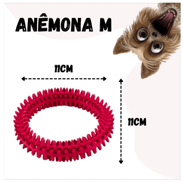 Kit 5 Brinquedos Pet para Cachorros de Pequeno Porte Ossinhos Bolinhas Pet.